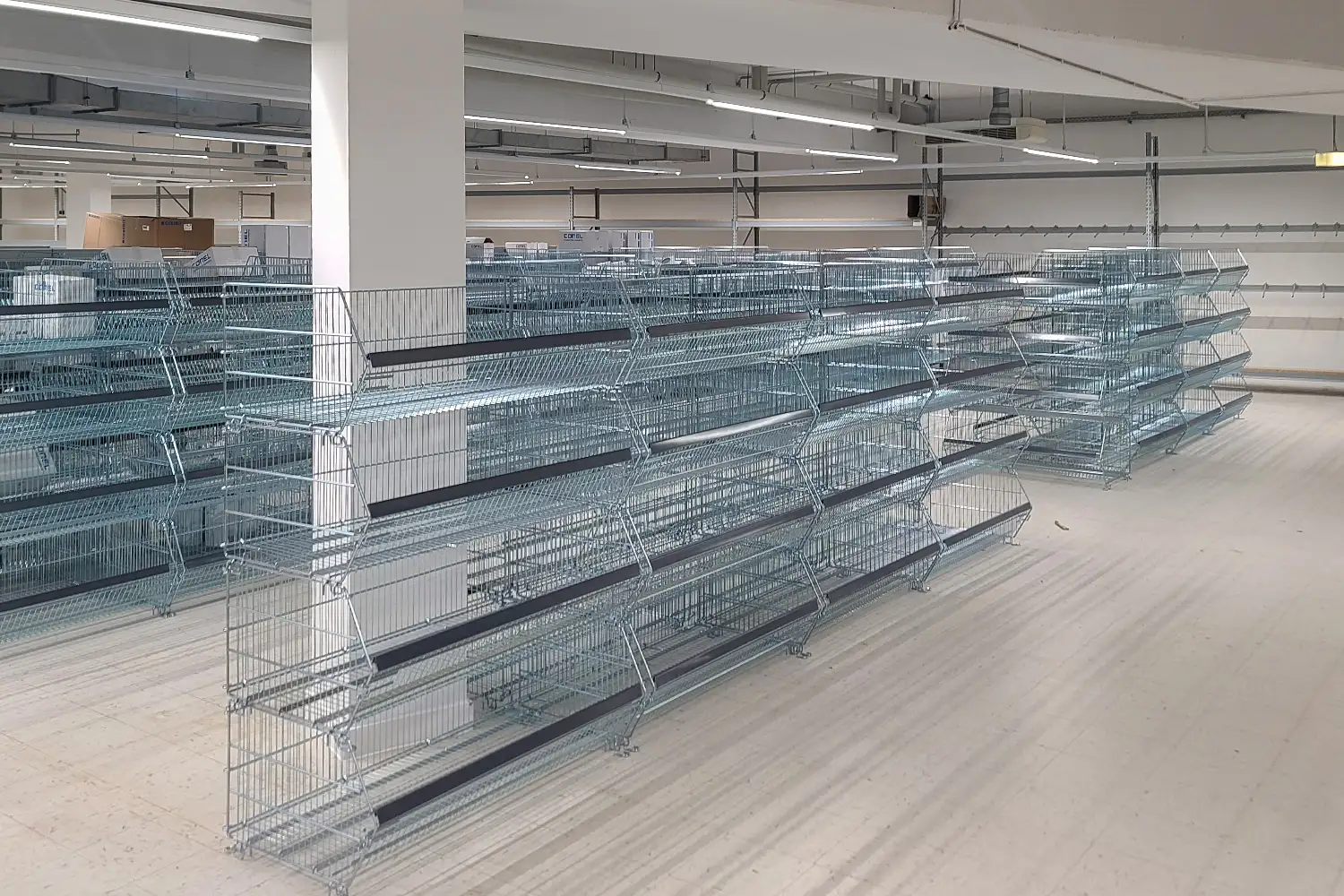 Gitterregale mit robustem Metallrahmen für Selbstbedienungszonen. Ideal für Baumärkte, Discounter und großflächige Verkaufsräume.